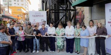 elevador de carga Tampico