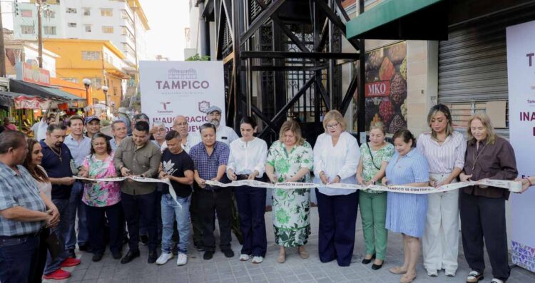 elevador de carga Tampico