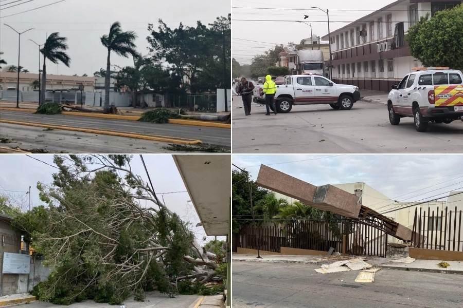 estragos vientos sur de Tamaulipas