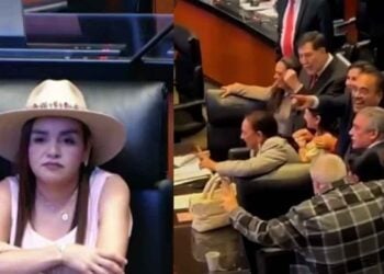 Grecia Quiroz Senado