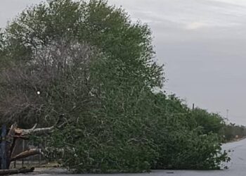 frente frio 41 Matamoros