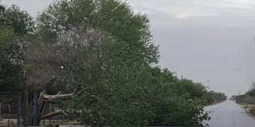 frente frio 41 Matamoros