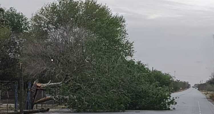 frente frio 41 Matamoros
