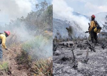 incendio en Bustamante