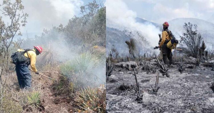 incendio en Bustamante