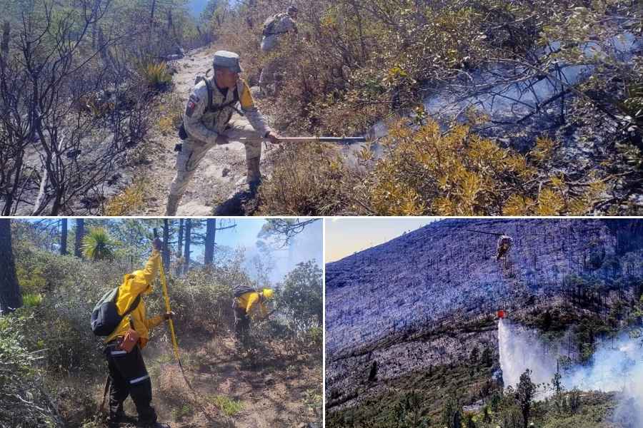incendio forestal en Miquihuana Tamaulipas