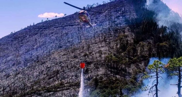 incendio forestal en Miquihuana Tamaulipas