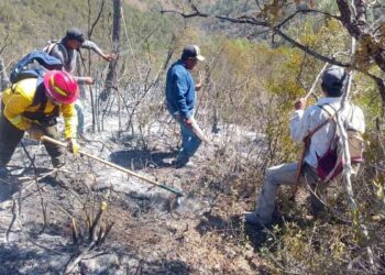 incendio forestal en cerro El Tepozán