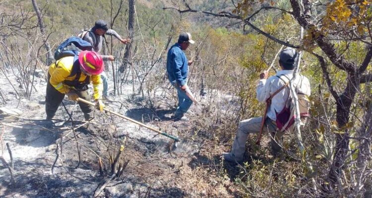 incendio forestal en cerro El Tepozán