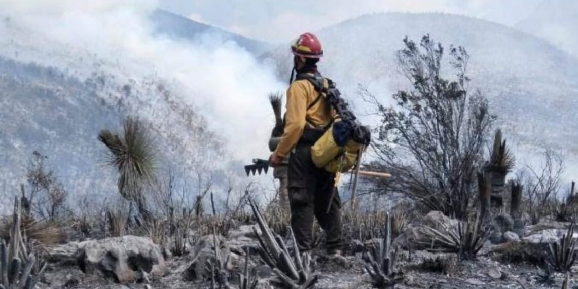 Combaten incendio forestal en la sierra de Miquihuana