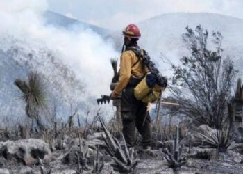 incendio forestal en la sierra de Miquihuana