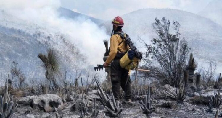 incendio forestal en la sierra de Miquihuana