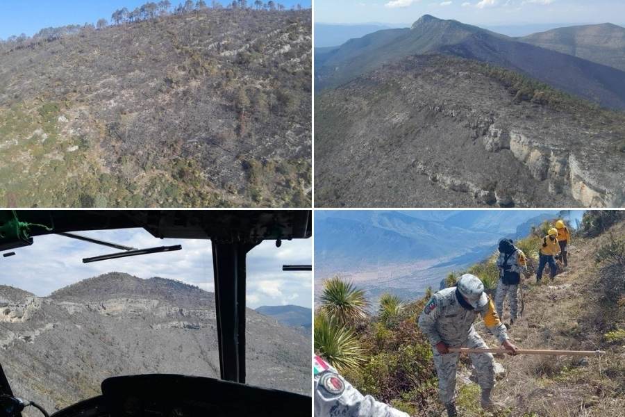 incendio forestal Puerto del Volcán