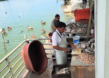 mariscos en Tampico y Madero