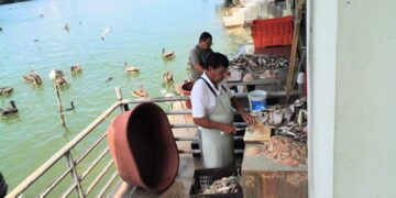mariscos en Tampico y Madero