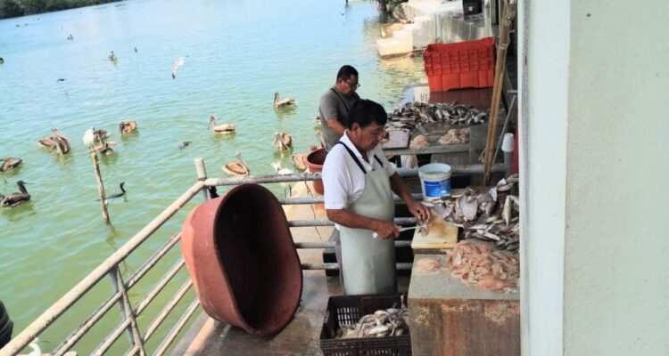 mariscos en Tampico y Madero