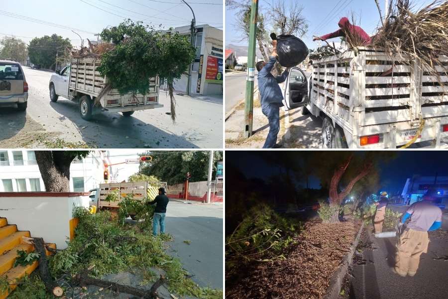 operativo de limpieza vientos Victoria
