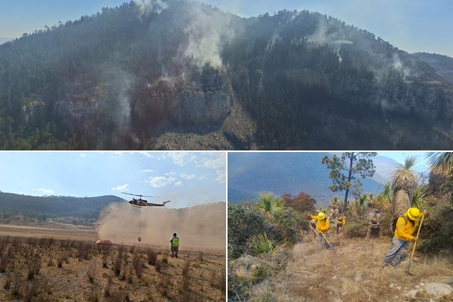 operativo incendio forestal en Miquihuana