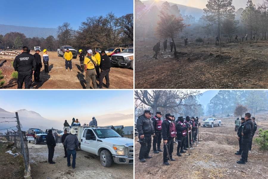 Plan Tamaulipas por incendio en Miquihuana