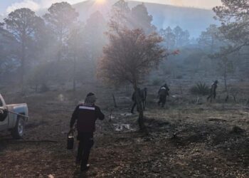 Plan Tamaulipas por incendio en Miquihuana