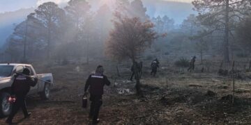 Plan Tamaulipas por incendio en Miquihuana