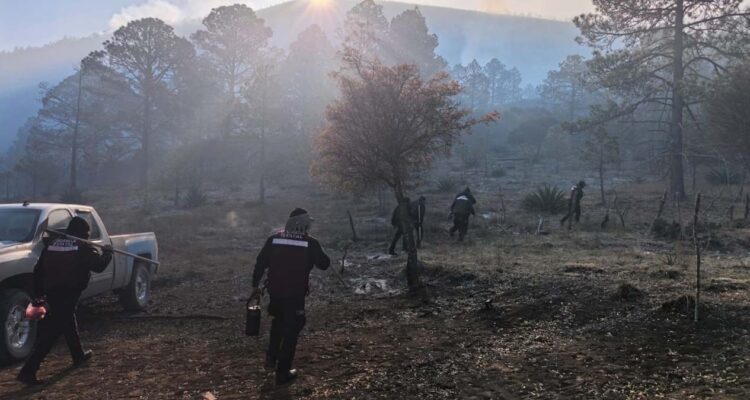 Plan Tamaulipas por incendio en Miquihuana