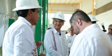 _planta de pirólisis en Altamira