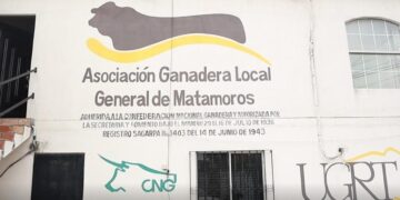 presencia del gusano barrenador Matamoros