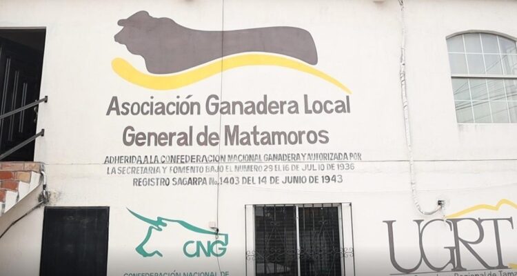presencia del gusano barrenador Matamoros