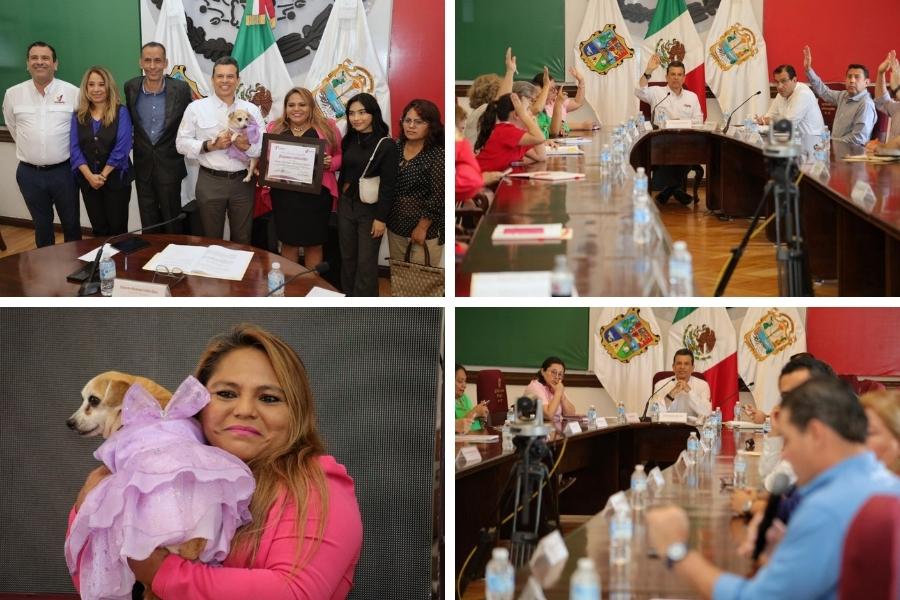 protección animal y servicios del IMSS