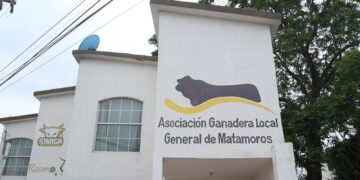 regularizar ganado gratis en Matamoros