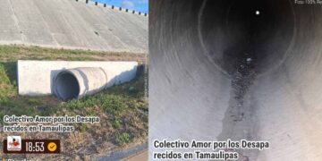 restos óseos Reynosa