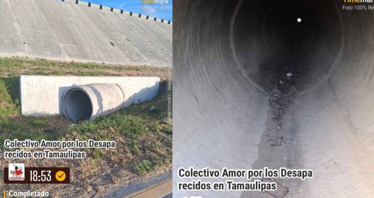 restos óseos Reynosa