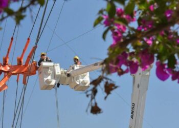 subsidio eléctrico de la CFE Tamaulipas