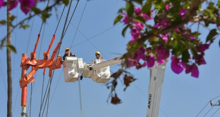 subsidio eléctrico de la CFE Tamaulipas
