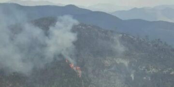 tercer incendio forestal en Miquihuana