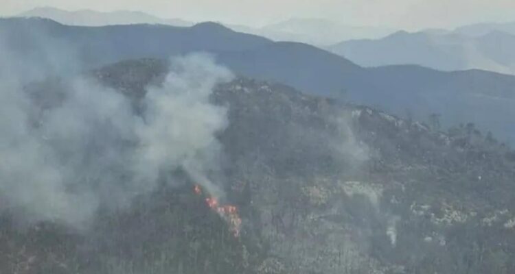 tercer incendio forestal en Miquihuana