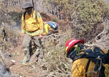 tercer incendio forestal Miquihuana