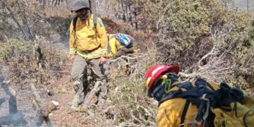 tercer incendio forestal Miquihuana