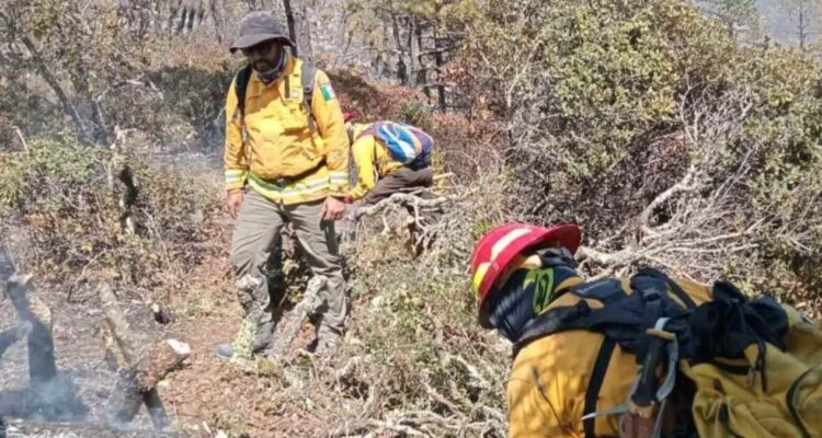 tercer incendio forestal Miquihuana
