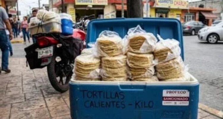 venta de tortillas en hieleras en Tamaulipas