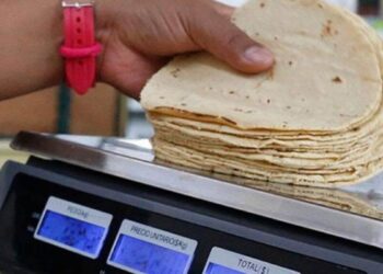 venta irregular de tortillas en Victoria