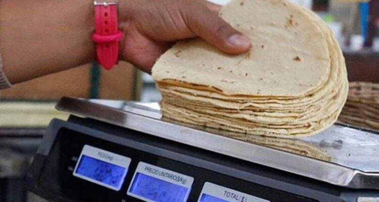 venta irregular de tortillas en Victoria