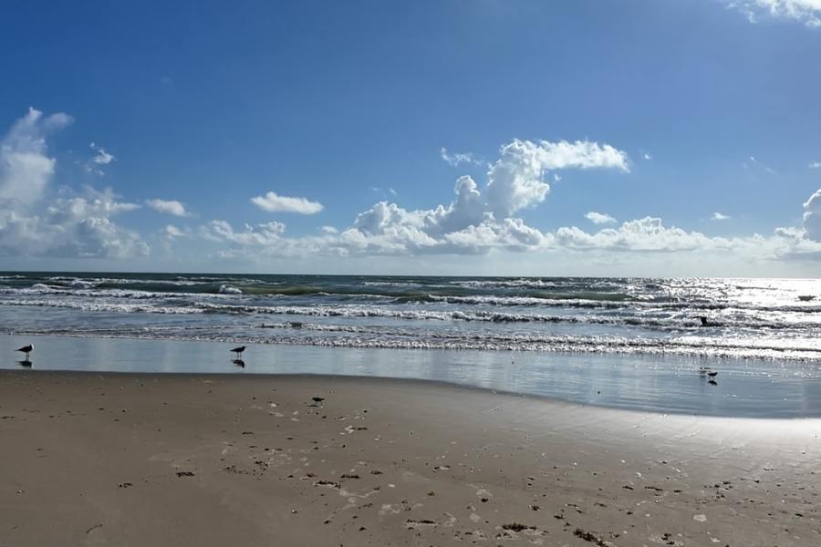 vigilancia en Playa Bagdad Matamoros