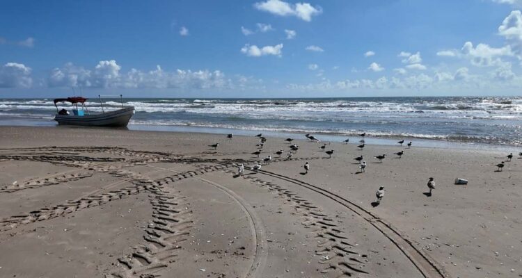 vigilancia en Playa Bagdad Matamoros