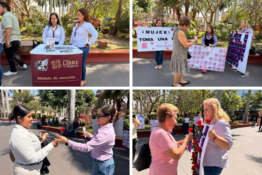 violencia de género en Tampico 2026