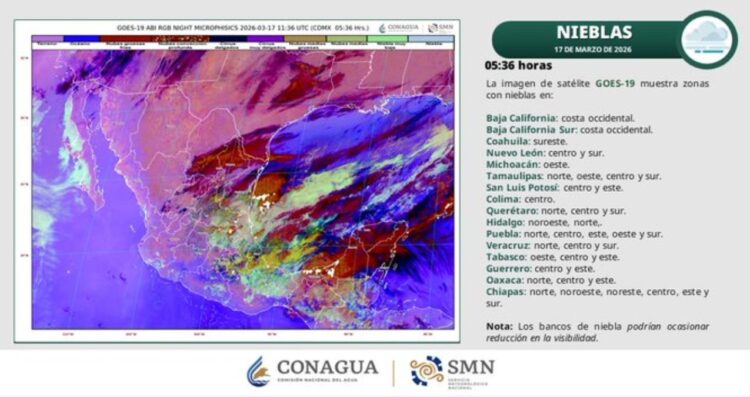 ¿Cómo afectará el frente frío 41 a Tamaulipas este 17 de marzo de 2026