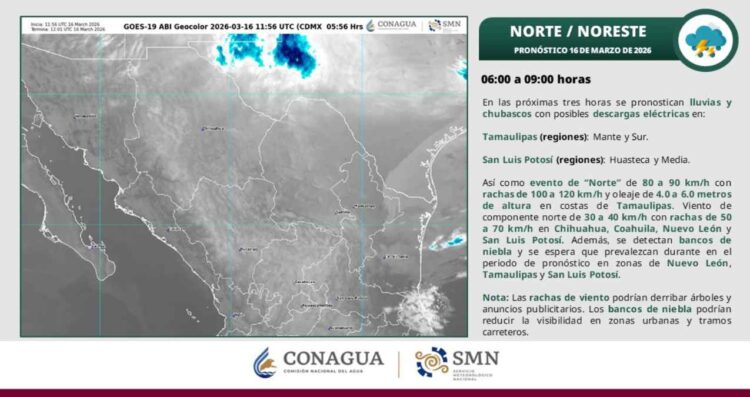 ¿Cómo afectará el frente frío 41 a Tamaulipas hoy?