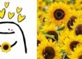 ¿Cuál es el significado de que te regalen flores amarillas este 21 de marzo?