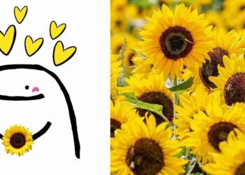 ¿Cuál es el significado de que te regalen flores amarillas este 21 de marzo?